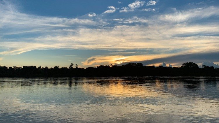 Regenwald im Amazonas