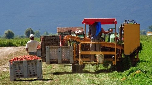 Продовольствие не должно становиться оружием против слабейших