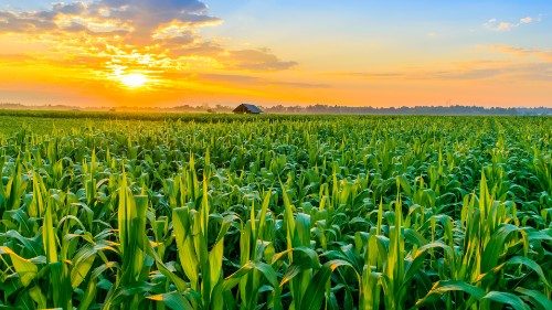 Lutherischer Weltbund wählt Dänen zu neuem Präsidenten