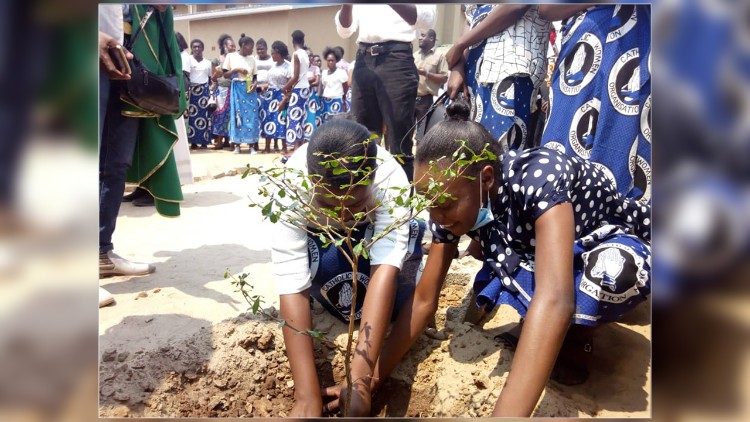 Zambia: Diocese of Livingstone - tree planting