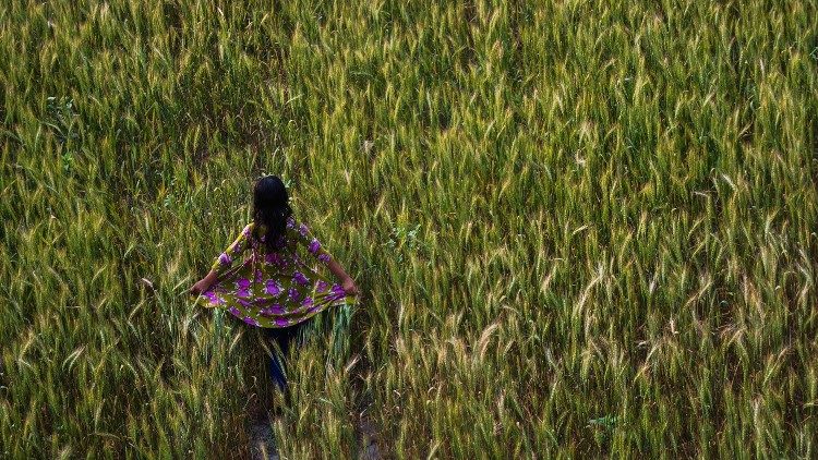 Ad Assisi reso noto il programma delle iniziative in occasione del ‘Tempo del Creato’