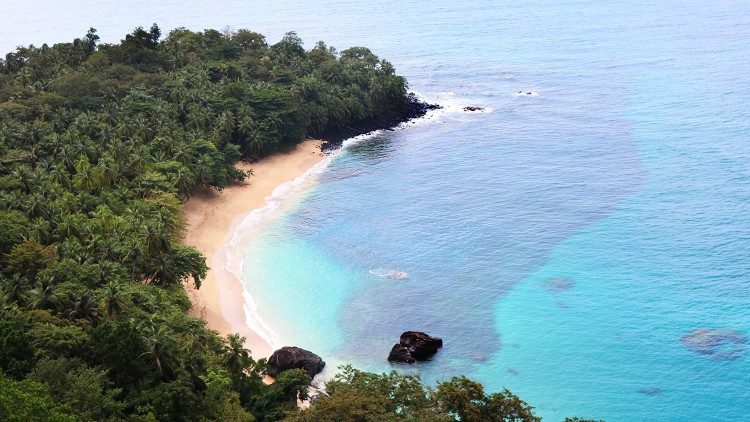 2023.03.04 São Tomé e Príncipe - Foresta