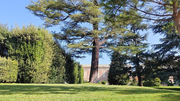 Cattura la Natura (Musei Vaticani)