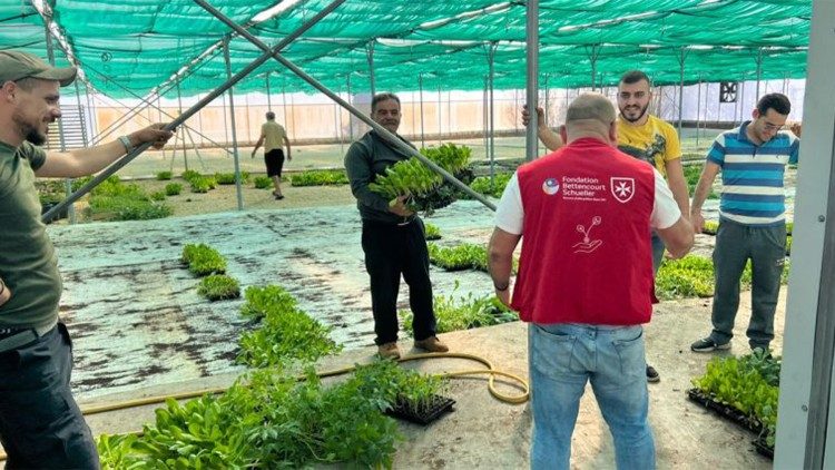 Le cardinal Parolin se rendra dans différentes structure de l'Ordre de Malte, qui gère actuellement six centres agro-humanitaires au Liban..