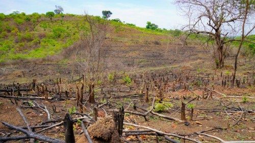 Guinée: le Fouta-Djalon, «le château d’eau de l'Afrique de l'Ouest» en péril