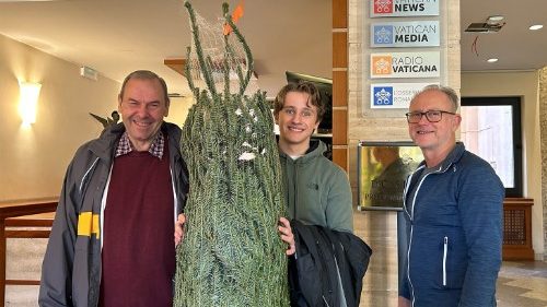 Unser Weihnachtsbaum ist da!