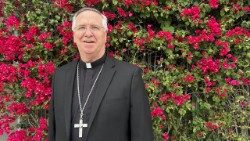 Bishop John P. Dolan, Diocese of Phoenix