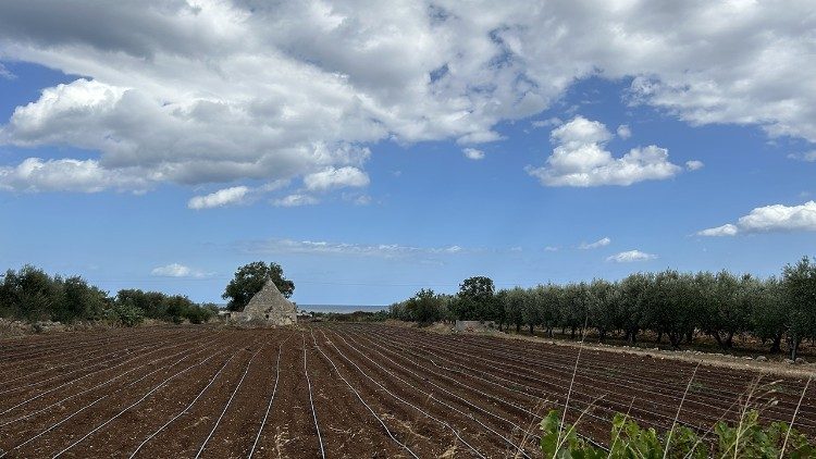 2024.09.23 Camminata organizzata dell’Associazione Europea delle Vie Francigene (AEVF) in collaborazione con la Regione Puglia e il progetto europeo HIKE - sulla Via Francigena del Sud tra Bari e Polignano a Mare dal 13. al 14.9.2024